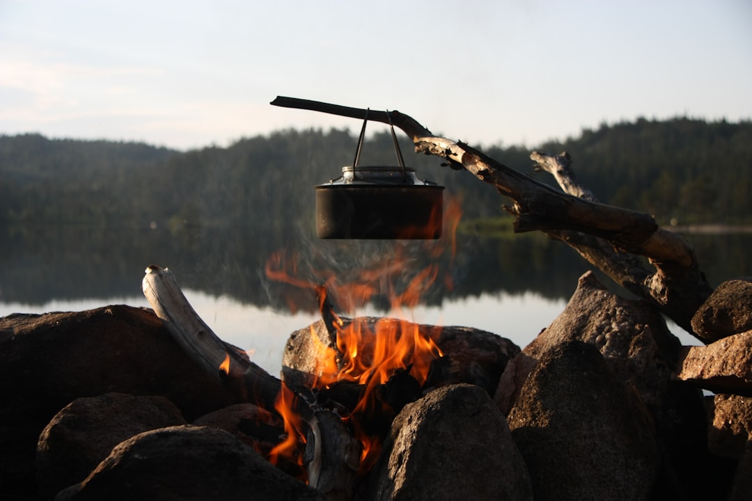 Cook Up a Storm: The Must-Have Outdoor Cooking Equipment